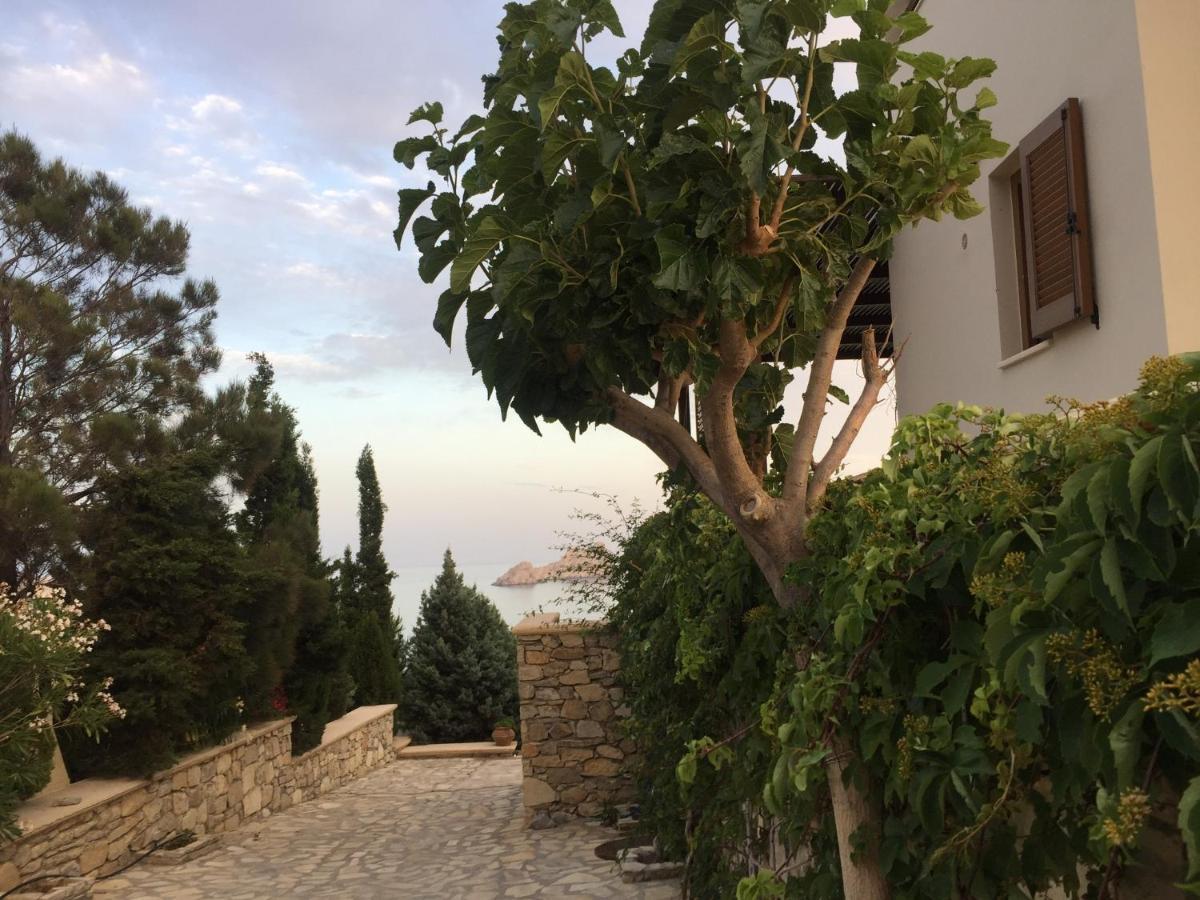 Natica Mare Villas Xerokampos  Eksteriør billede