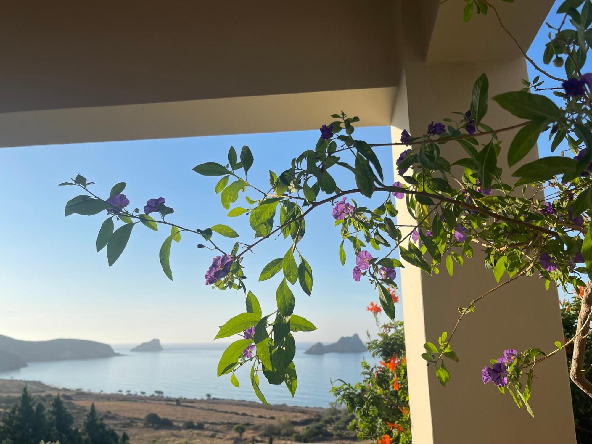 Natica Mare Villas Xerokampos  Eksteriør billede